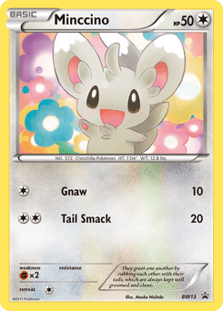 Minccino from BW Black Star Promos #BW13
