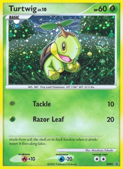 Turtwig from DP Black Star Promos