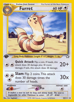 Furret from Neo Genesis #35
