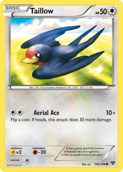 Taillow from XY #102