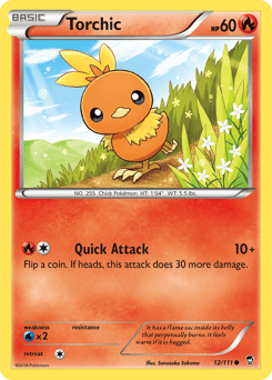 Torchic from Furious Fists #12